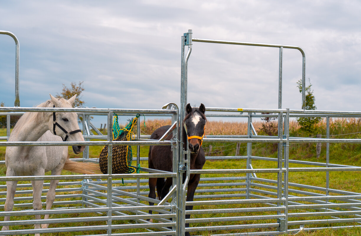 Panel-Sécurité pour cheveaux avec porte coulissante 3,60 m, hauteur 2,50 m (1 entretoise)