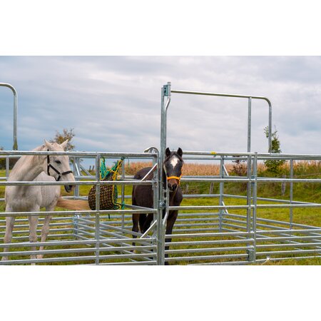 Panel-Sécurité pour cheveaux avec porte coulissante 3,60 m, hauteur 2,50 m (1 entretoise)