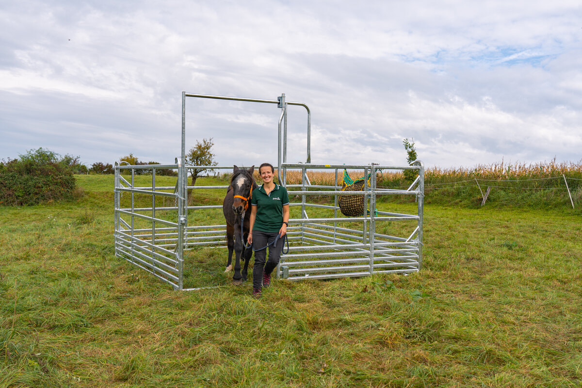 Panel-Sécurité pour cheveaux avec porte coulissante 3,60 m, hauteur 2,50 m (1 entretoise)