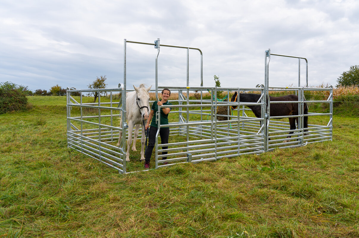 Panel-Sécurité pour cheveaux avec porte coulissante 3,60 m, hauteur 2,50 m (1 entretoise)