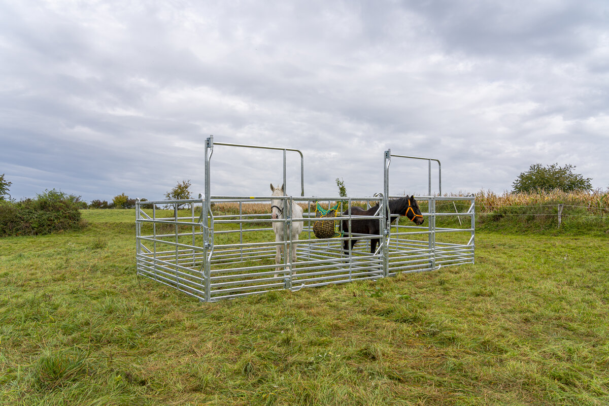 Panel-Sécurité pour cheveaux avec porte coulissante 3,60 m, hauteur 2,50 m (1 entretoise)