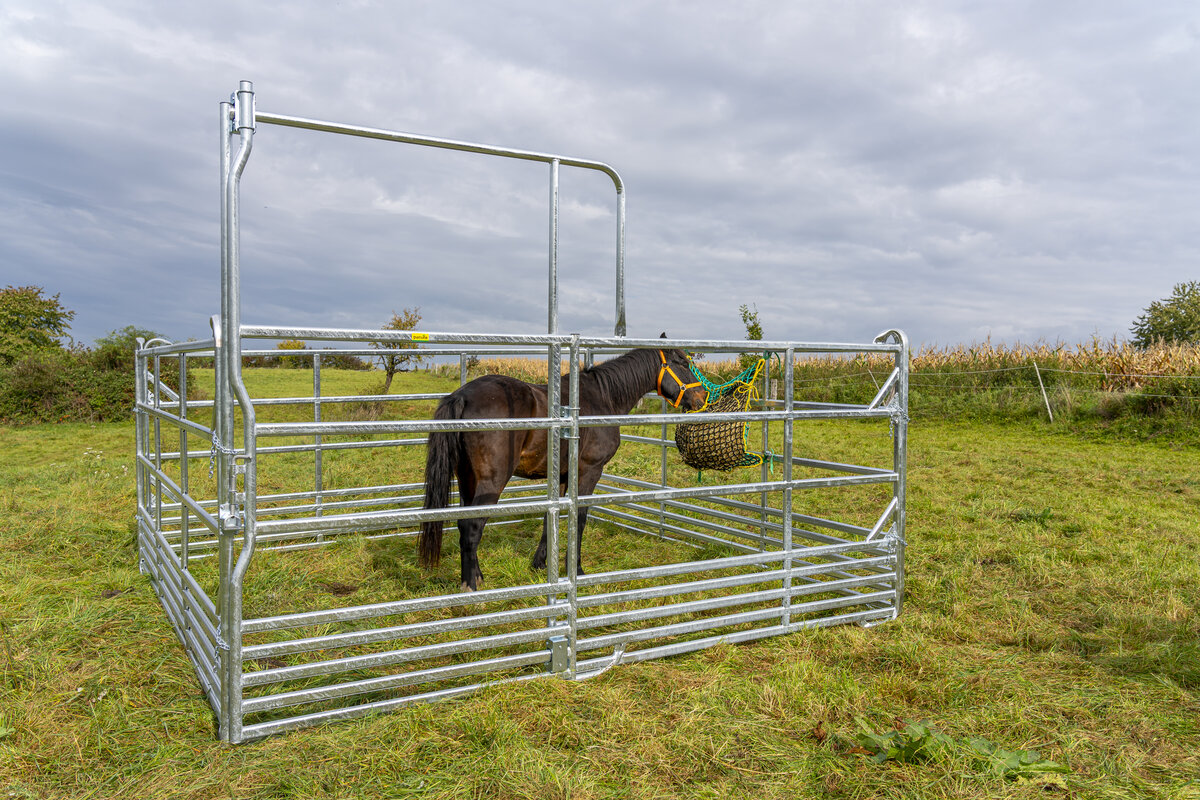 Panel-Sécurité pour cheveaux avec porte coulissante 3,60 m, hauteur 2,50 m (1 entretoise)