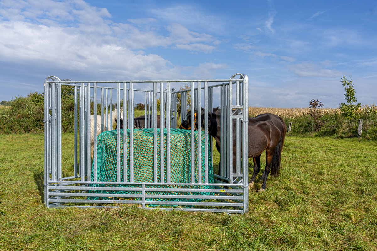 Sicherheits-Pferde-Panel mit Fressgitter 3,00 m Höhe 2,10 m