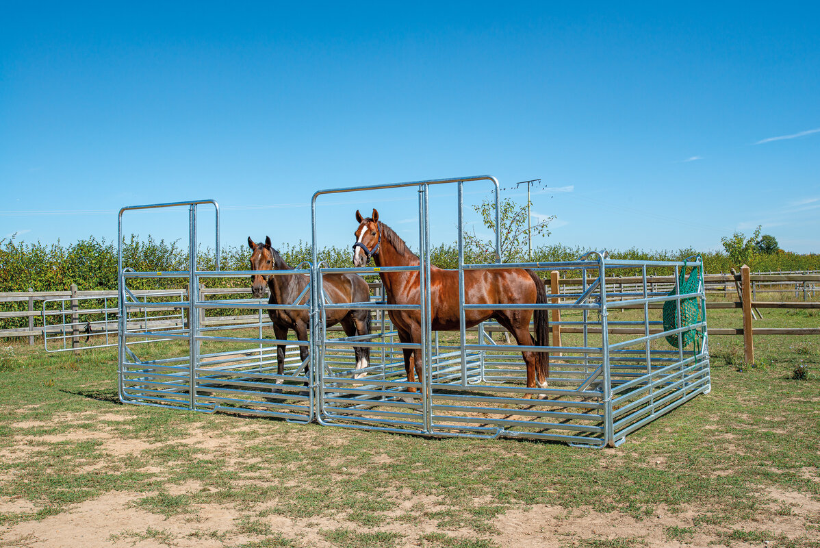 Safety Horse Panel with gate 3.00 m