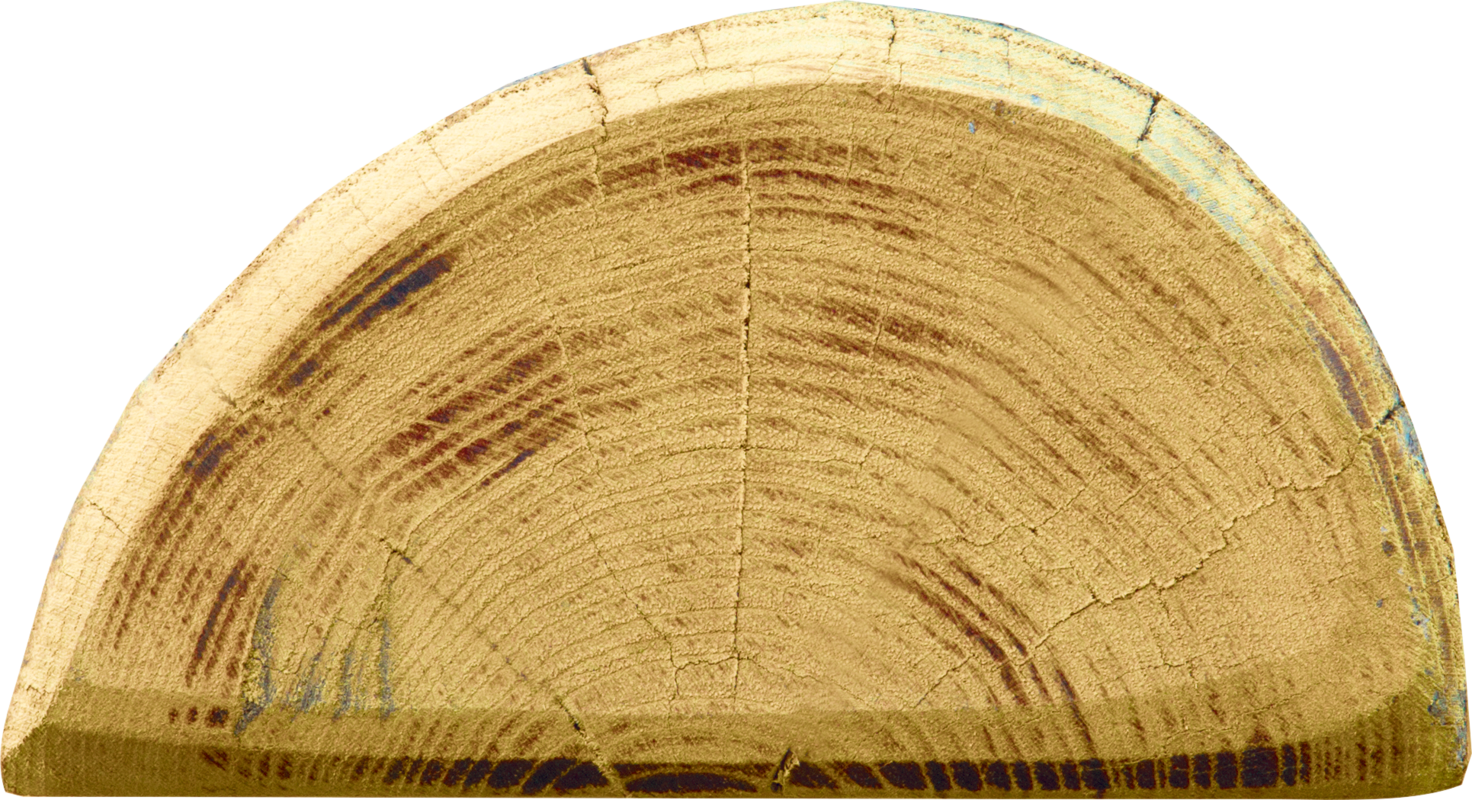Robinienpfahl, halbiert, 2250 mm, d=13-15 cm, gefast, 3-fach gespitzt, entrindet