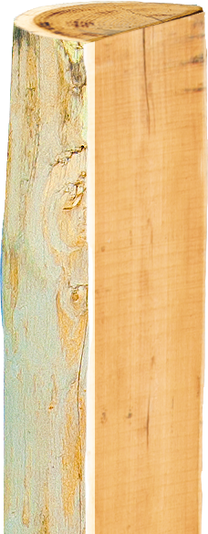 Robinia paal, gehalveerd, 2000 mm, d=13-15 cm, afgeschuind, 3-voudig onthorst