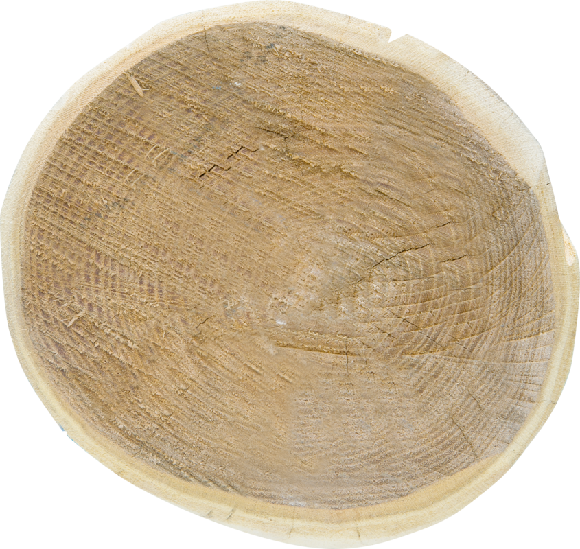 Robinienpfahl, rund, geschliffen, 3500 mm, d=16-18 cm, gefast, gehobelt, 4-fach gespitzt