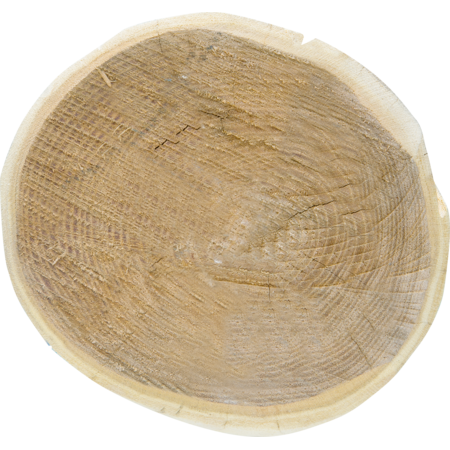 Robinienpfahl, rund, geschliffen, 3200 mm, d=16-18 cm, gefast, gehobelt, 4-fach gespitzt