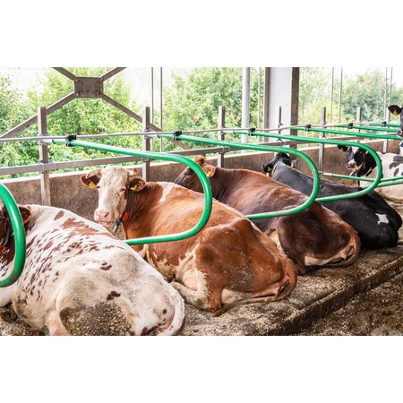 Matelas à vaches en latex Profondeur de la logette 1,60 m au mètre, livré en rouleau