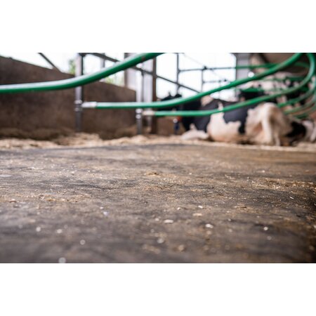 Matelas à vaches en latex Profondeur de la logette 1,80 m , au mètre, livré en rouleau